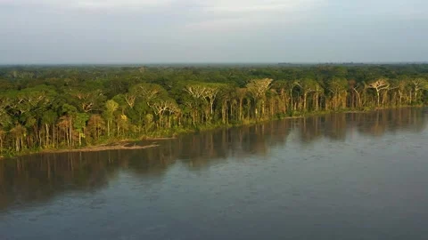 Aerial View of the Amazon river during sunset Stock-Footage 289389166