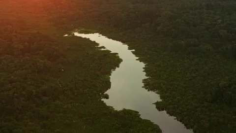 Aerial view of amazon river in ecuador rainforest at sunset Stock Footage 342815222