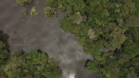 Aerial view of the Amazon river Stock Footage 103817529