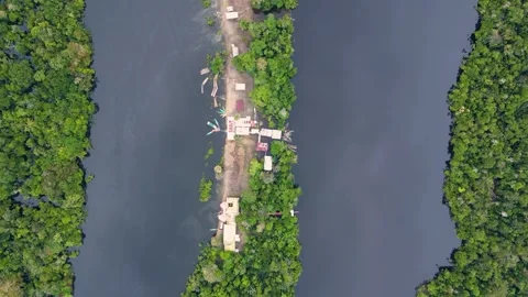 Aerial View of Amazon River with Lush Greenery Stock-Footage 330925697