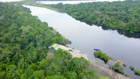 Aerial view of the Amazon River with lush greenery in Leticia Stock Footage 330925708