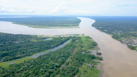 Aerial view of the Amazon River with lush greenery Stock Footage 330925850