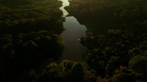 Aerial view of amazon river sunset over rainforest Stock Footage 342815423