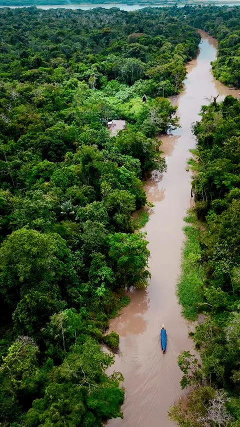 Aerial view of the Amazon River surrounded by rainforest 動画素材 316402515