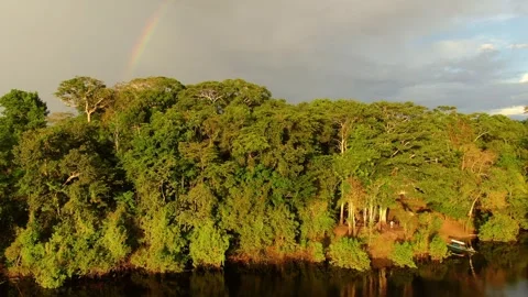 Aerial view of Amazonian river and evergreen rain forest at sunset light. Stock Footage 294118633