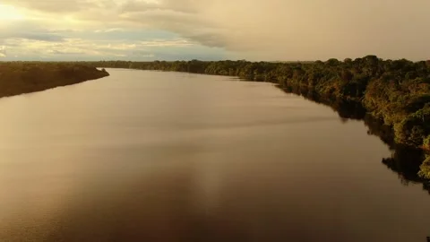 Aerial view of Amazonian river and evergreen rain forest at sunset light. Stock Footage 294120695