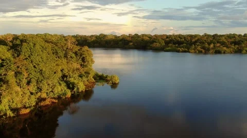 Aerial view of Amazonian river and evergreen rain forest at sunset light. Stock Footage 294120949