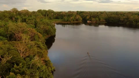 Aerial view of Amazonian river and evergreen rain forest at sunset light. Stock Footage 294121192