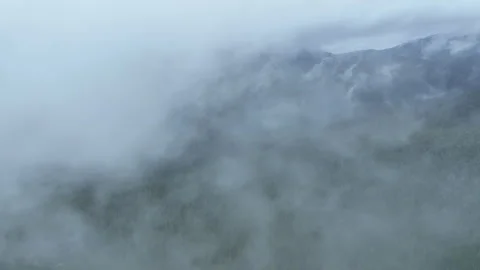 Aerial View Amid Clouds Drifting Above a Scenic Pacific Northwest Forest Video stock 282666887