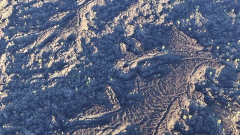 Aerial View of an Ancient Lava Field Near Bend, Oregon Stock Footage 342573357