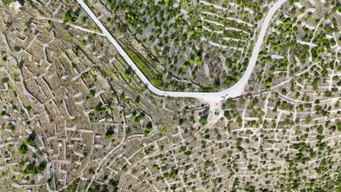 Aerial view of ancient lavender fields and stone walls on hvar island Stock Footage 335792408