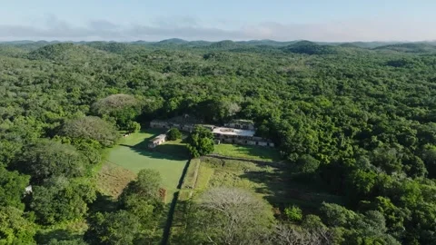 Aerial view of ancient maya ruins in forest, Mexico. Stock Footage 289740288