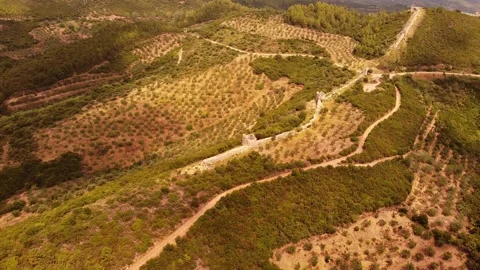 Aerial view of Ancient Messini wall ruins Video stock 143944522