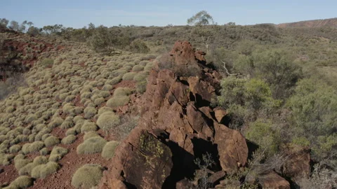 Aerial view of an ancient rock wall and bushes Stock Footage 190990431