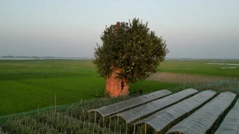 Aerial view and high angle video of ancient sites, old crematorium, old pag.. Video stock 254932332