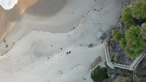 Aerial View and Timelapse of Laguna Beach in California Stock Footage 137429862