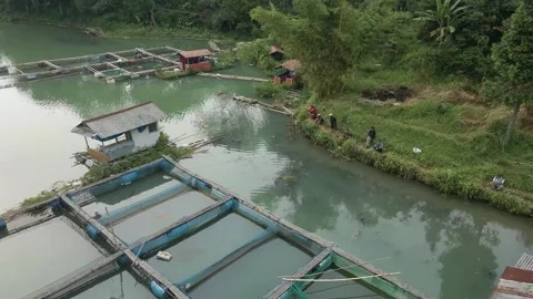 Aerial view of anglers Stock Footage 292152791