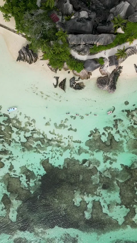 Aerial view of Anse Source d'Argent. Vertical video. Stock Footage 301466968