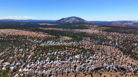 Aerial view of Apache Maid Mountain and forest, United States. Stock Footage 312763832
