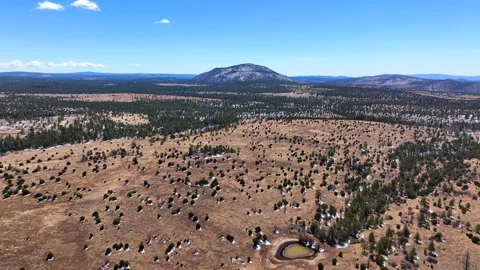 Aerial view of apache maid mountain and forest, United States. Video stock 312763902