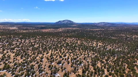 Aerial view of apache maid mountain and forest, United States. Stock Footage 312763937