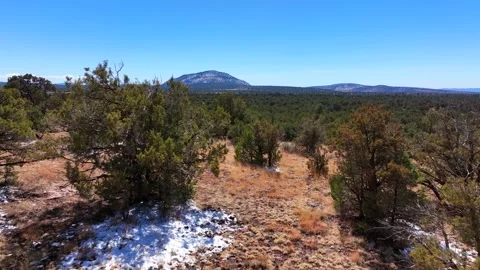 Aerial view of apache maid mountain in serene wilderness, United States. Video stock 312763943