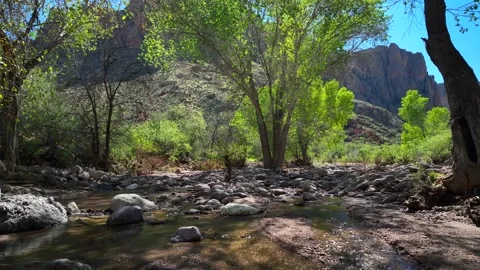 Aerial view of Apache Trail, United States. Stock-Footage 320165652
