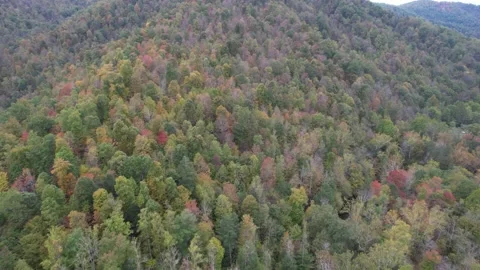 Aerial View of Appalachian Mountains Leaf Color Change Autumn Stock Footage 163569084