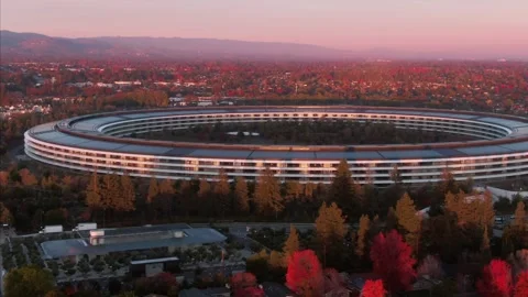 Aerial view of Apple Park campus at sunrise. Apple Park, Cupertino, USA Stock Footage 317537103