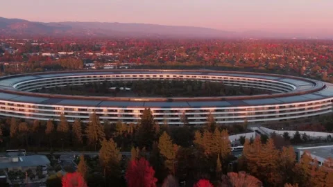 Aerial view of Apple Park campus at sunrise. Apple Park, Cupertino, USA Stock Footage 317537154