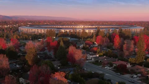 Aerial view of Apple Park campus at sunrise. Apple Park, Cupertino, USA Stock Footage 317537467