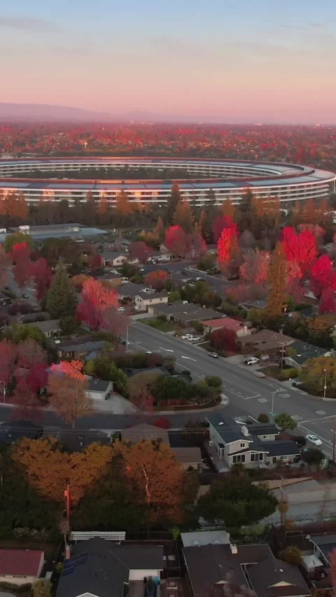 Aerial view of Apple Park campus at sunset in autumn. Apple Park, Cupertino, USA Stock Footage 317601335