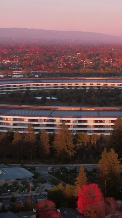 Aerial view of Apple Park campus at sunrise. Apple Park, Cupertino, USA Stock Footage 317601456