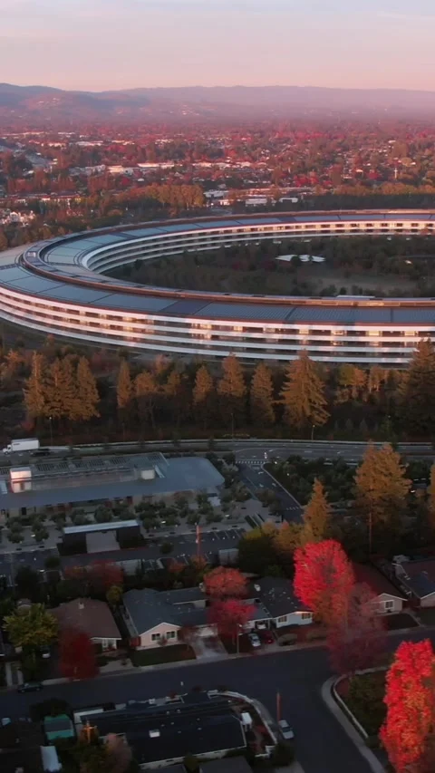 Aerial view of Apple Park campus at sunrise. Apple Park, Cupertino, USA Stock Footage 317601491