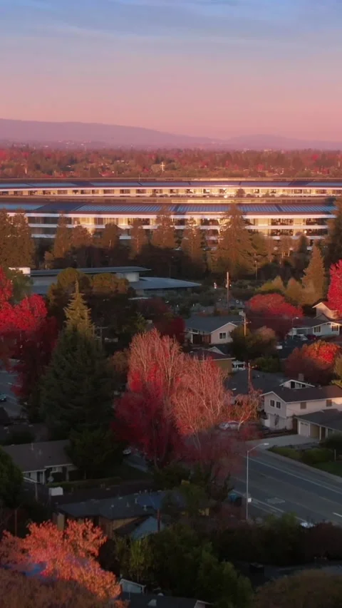 Aerial view of Apple Park campus at sunrise. Apple Park, Cupertino, USA Stock Footage 317601512