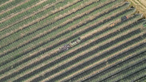 Aerial view apple picking machine with farm workers in orchard. Stock Footage 281690622