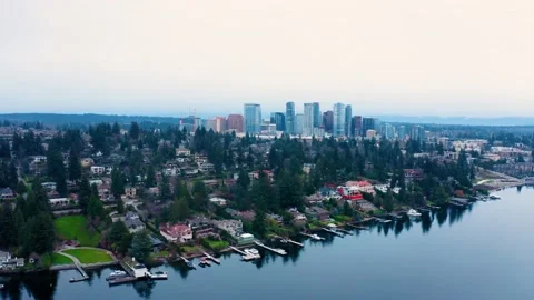 Aerial View Approaching Bellevue Stock Footage 146301212