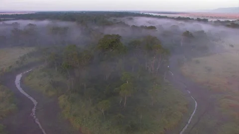 Aerial view approaching forest with low mist Stock Footage 172159896