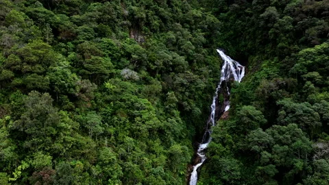 Aerial view, approaching the top of a waterfall that is partly hidden Stock Footage 234955257