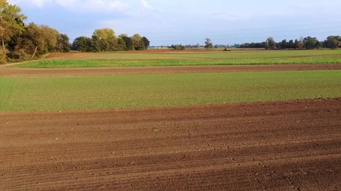 Aerial view of of arable fields. Alternately, ready for sowing and green Stock Footage 118665915