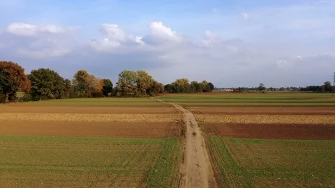 Aerial view of of arable fields. Alternately, ready for sowing and green Stock Footage 118665978