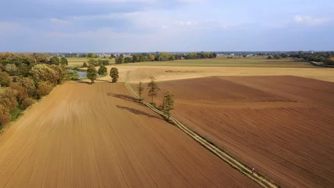 Aerial view of arable fields with a dirt road between them and a river on Stock Footage 118648076