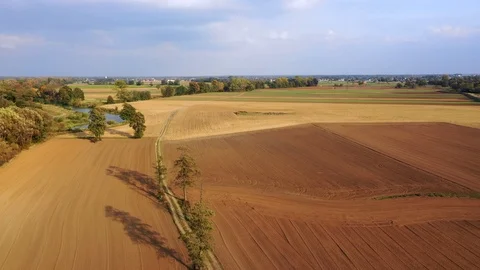 Aerial view of arable fields with a dirt road between them and a river on Stock Footage 118648118