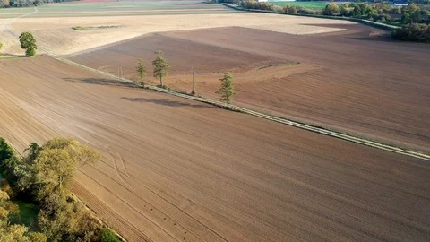 Aerial view of arable fields with a dirt road between them. Stock Footage 118648135
