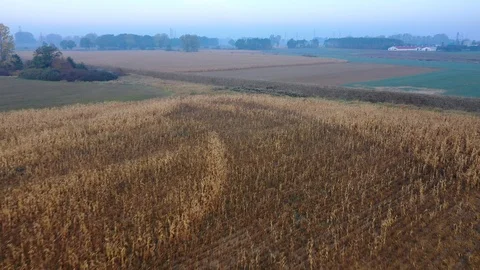 Aerial view of arable fields early morning. Stock Footage 118653077