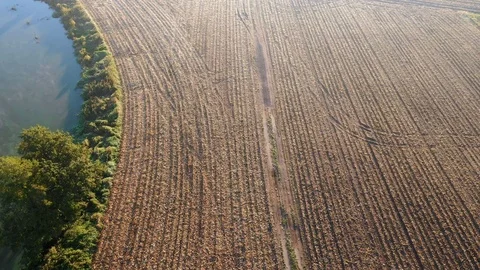 Aerial view of arable fields with a river on left side. Stock Footage 118653079