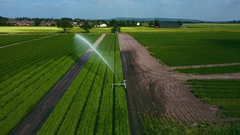 Aerial view of arable irrigation system. Stock Footage 175469241