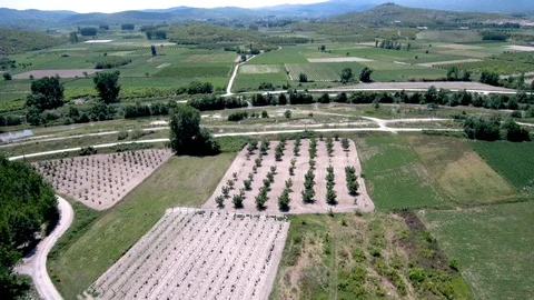 Aerial view of arable land with a small river in the middle in Aridea Greece Stock Footage 115035286
