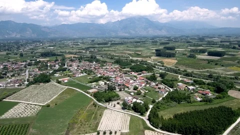 Aerial view of arable land with small village in Aridaia Greece Stock Footage 115043758
