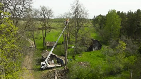 Aerial View of Arborist Cutting Tree Branches with a Chainsaw Stock Footage 336600289
